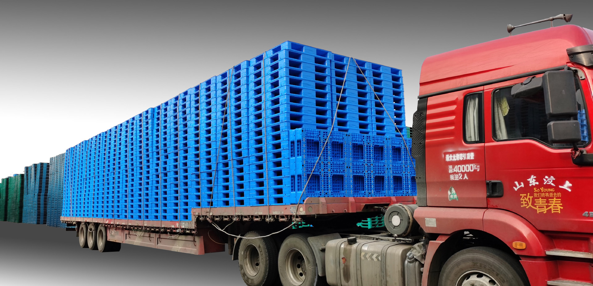 醫藥行業如何選購塑料托盤?