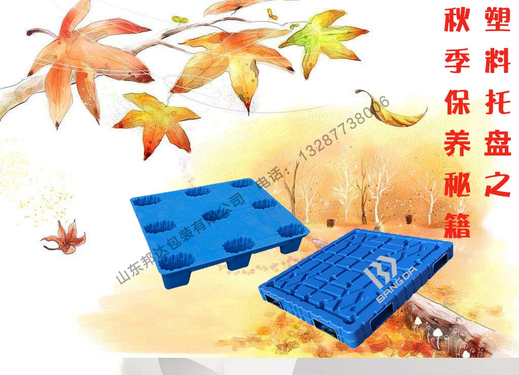 秋天塑料托盤保養